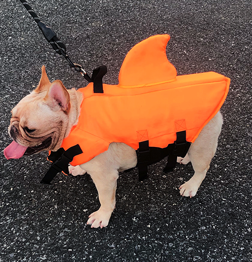 Dog Life Jacket Shark Fin Buoyant Diving Fabric French Bulldog Swim Vest Quick-Release Buckle Grab Handle D-Ring Water Safety | Koossa