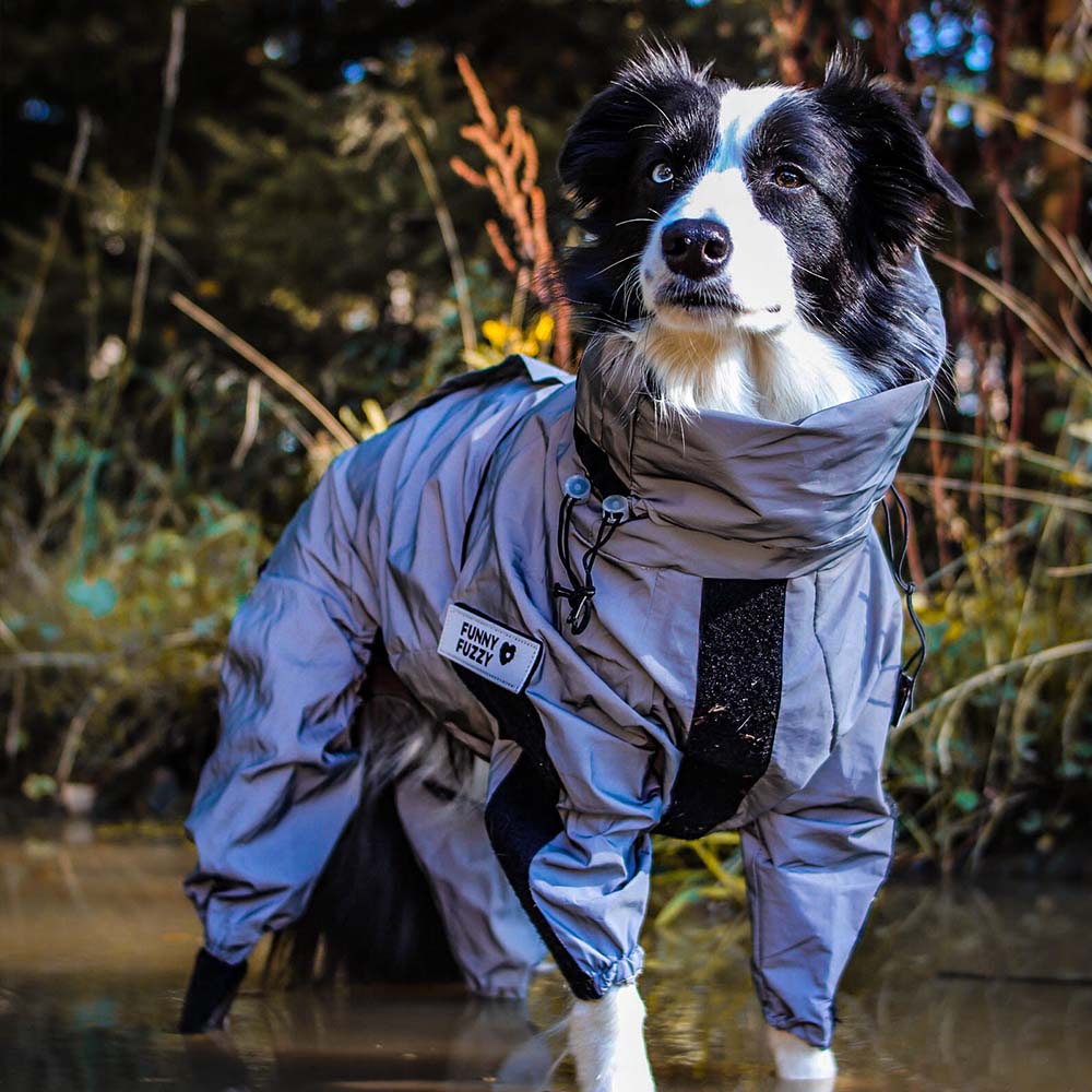 Dog Raincoat Reflective Waterproof Polyester All-Around Visibility Windproof UV Protection Adjustable Dog Jacket Coat | Koossa