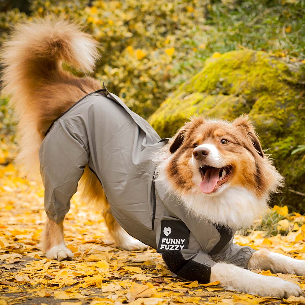 Dog Raincoat Reflective Waterproof Polyester All-Around Visibility Windproof UV Protection Adjustable Dog Jacket Coat | Koossa
