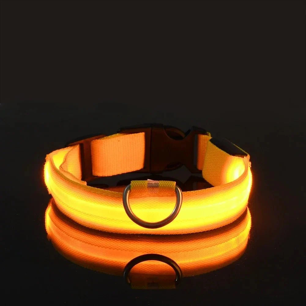 LED Dog Collar USB Rechargeable Flashing Constant Light Nylon Adjustable Night Walking Safety Visible | Koossa