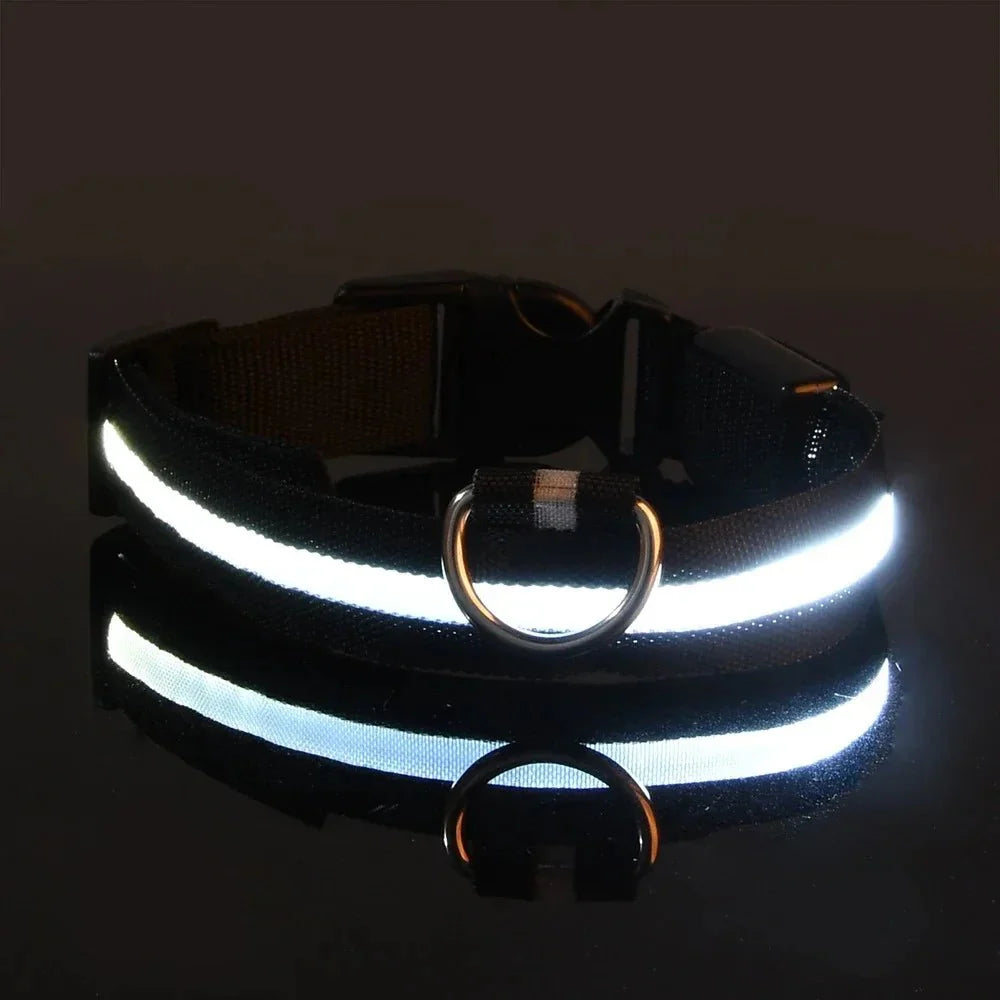 LED Dog Collar USB Rechargeable Flashing Constant Light Nylon Adjustable Night Walking Safety Visible | Koossa