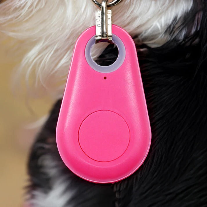Pet Tracker with Live Location Finder, Bluetooth App Control, Waterproof Design for Dogs & Cats | Lonoma