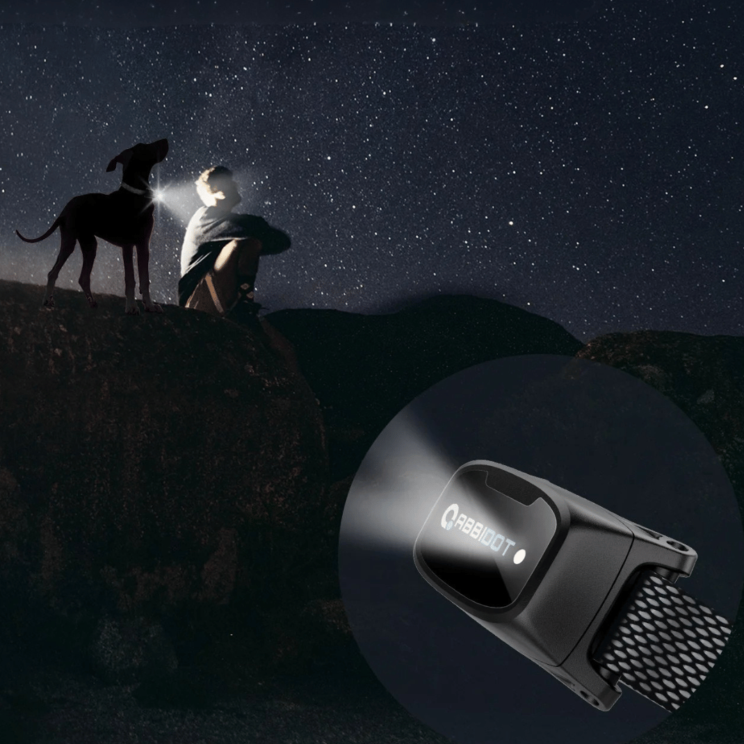Dog Training Collar 1000m Remote Control Rechargeable Waterproof LED Night Light Static Vibration Sound 99 Levels Recall Collar Large Small Dogs | Koossa