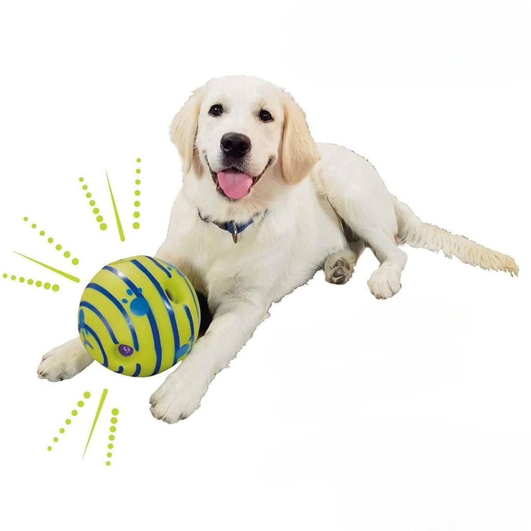 Interactive Dog Ball Toy Sound Activated Motion Durable Chew Resistant Bright Colours Mental Stimulation Indoor Outdoor Play Small Medium Large Dogs | Koossa