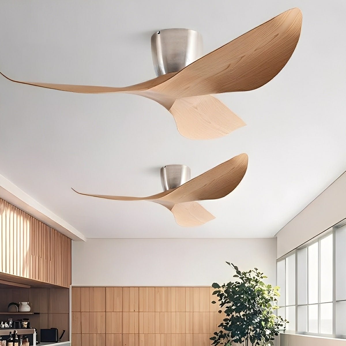 Reversible DC Motor Ceiling Fan, 38 or 52 Inch, 6-Speed Quiet Fan for Bedroom, Living Room, Dining Room & Year-Round Airflow | Lonoma