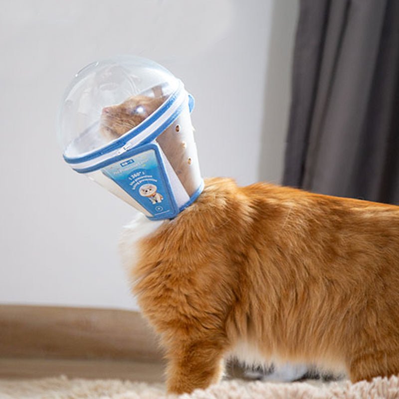 Pet Recovery Collar Transparent Plastic 360° Anti-Lick Anti-Bite Lightweight Cat Dog Cone Post-Surgery | Koossa
