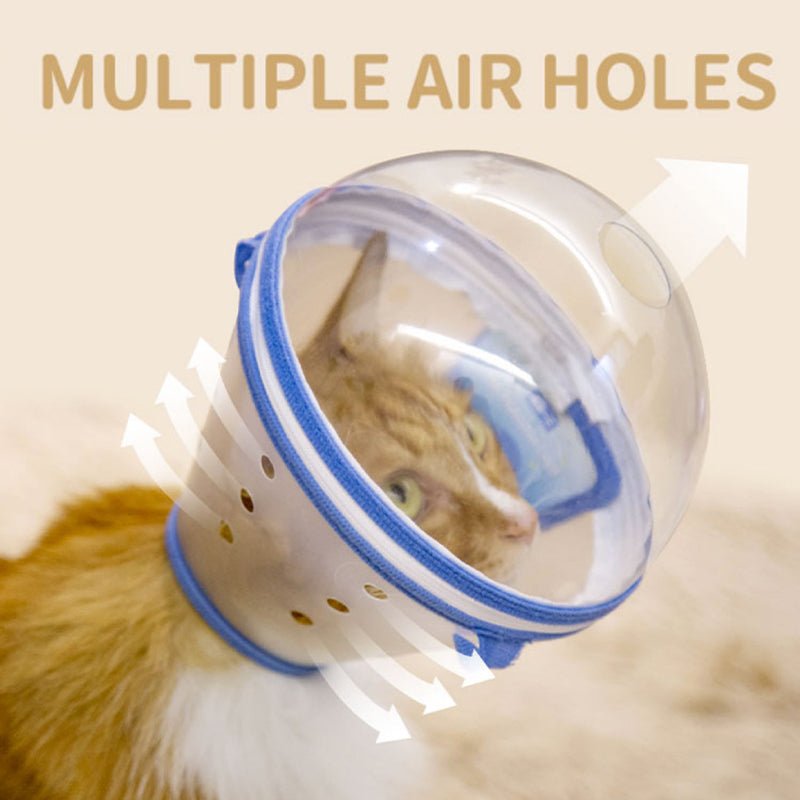 Pet Recovery Collar Transparent Plastic 360° Anti-Lick Anti-Bite Lightweight Cat Dog Cone Post-Surgery | Koossa