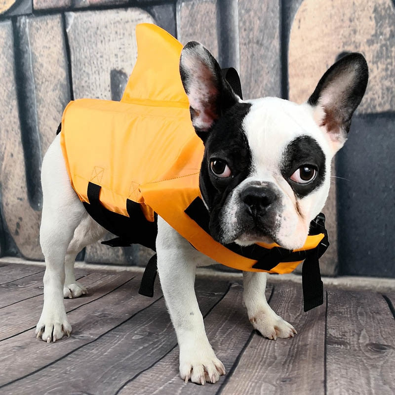 Dog Life Jacket Shark Fin Buoyant Diving Fabric French Bulldog Swim Vest Quick-Release Buckle Grab Handle D-Ring Water Safety | Koossa