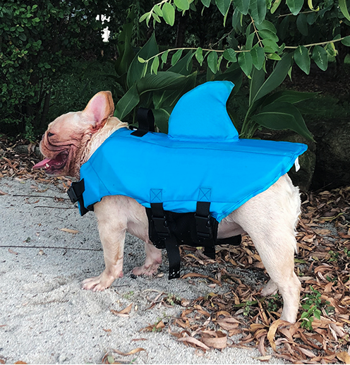 Dog Life Jacket Shark Fin Buoyant Diving Fabric French Bulldog Swim Vest Quick-Release Buckle Grab Handle D-Ring Water Safety | Koossa