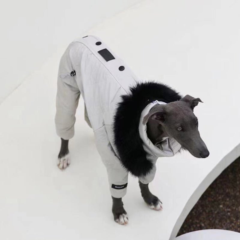 Dog Snowsuit Quilted Cotton Full Body Silver Italian Greyhound Whippet Winter Jacket Padded All-in-One Cold Weather Coat | Koossa