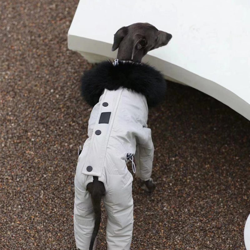Dog Snowsuit Quilted Cotton Full Body Silver Italian Greyhound Whippet Winter Jacket Padded All-in-One Cold Weather Coat | Koossa