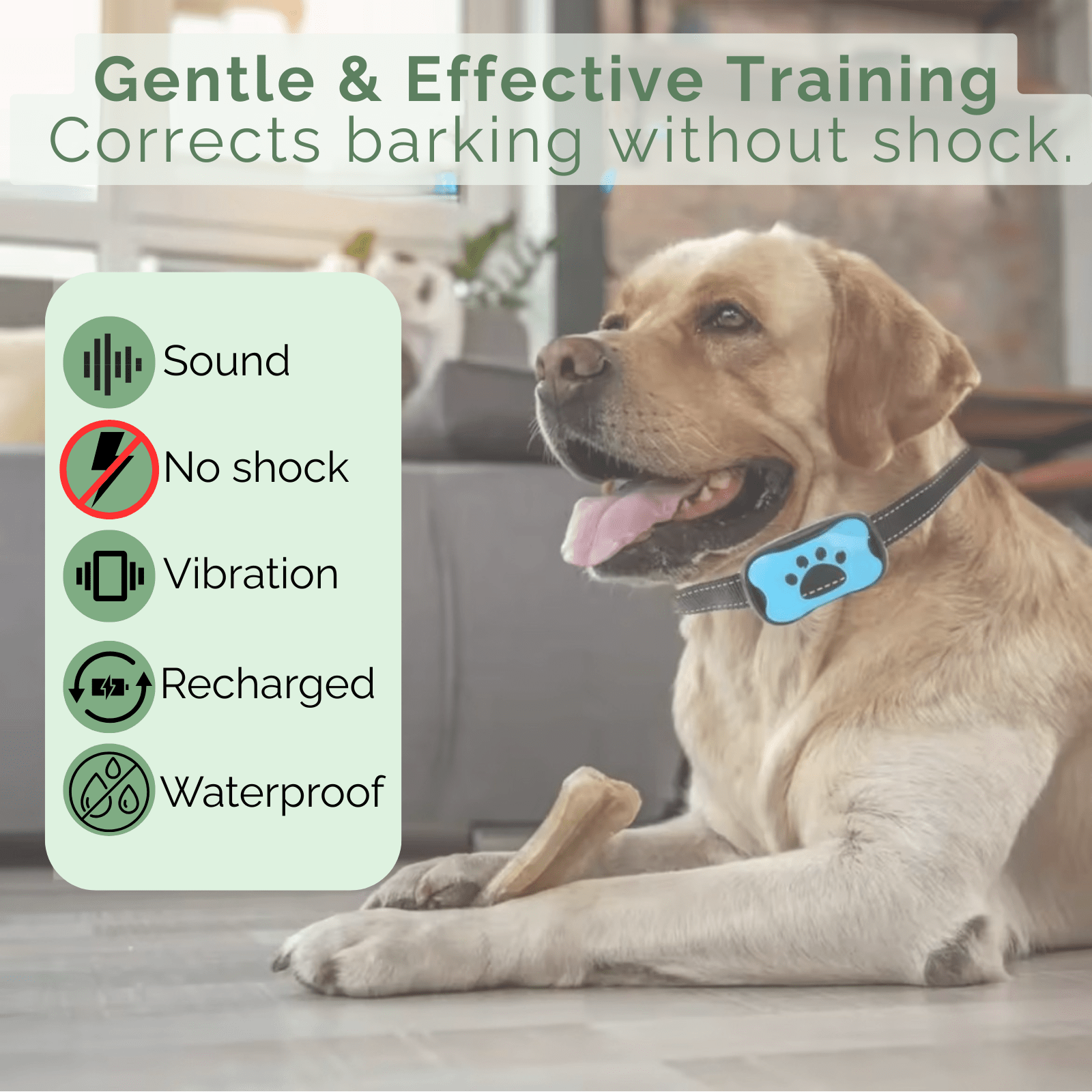 Dog Bark Collar Beep Vibration Rechargeable USB Adjustable 4.7–22 in 7 Sensitivity Levels Anti-Bark Training | Koossa