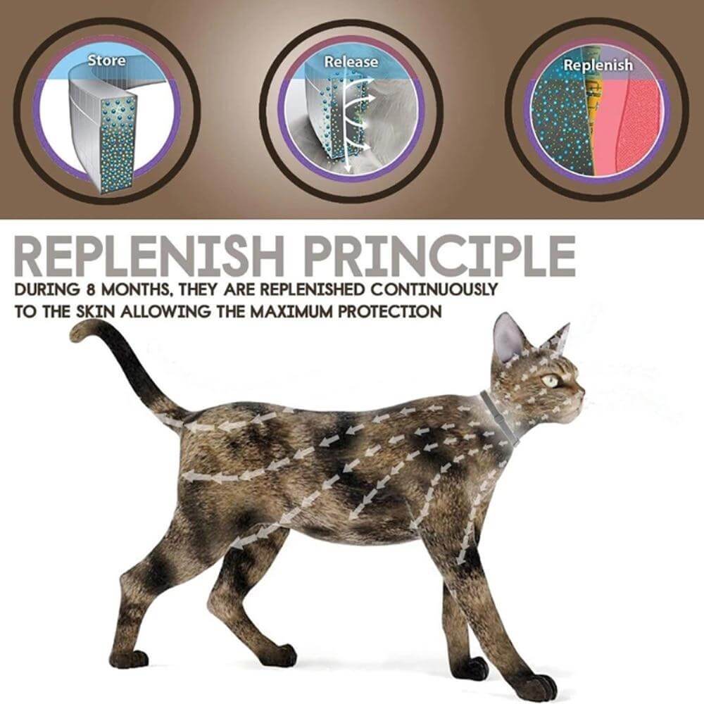 Collier Antiparasitaire Naturel pour Chiens et Chats – Protection 8 Mois – Réglable – Sans Produit Chimique | Koossa