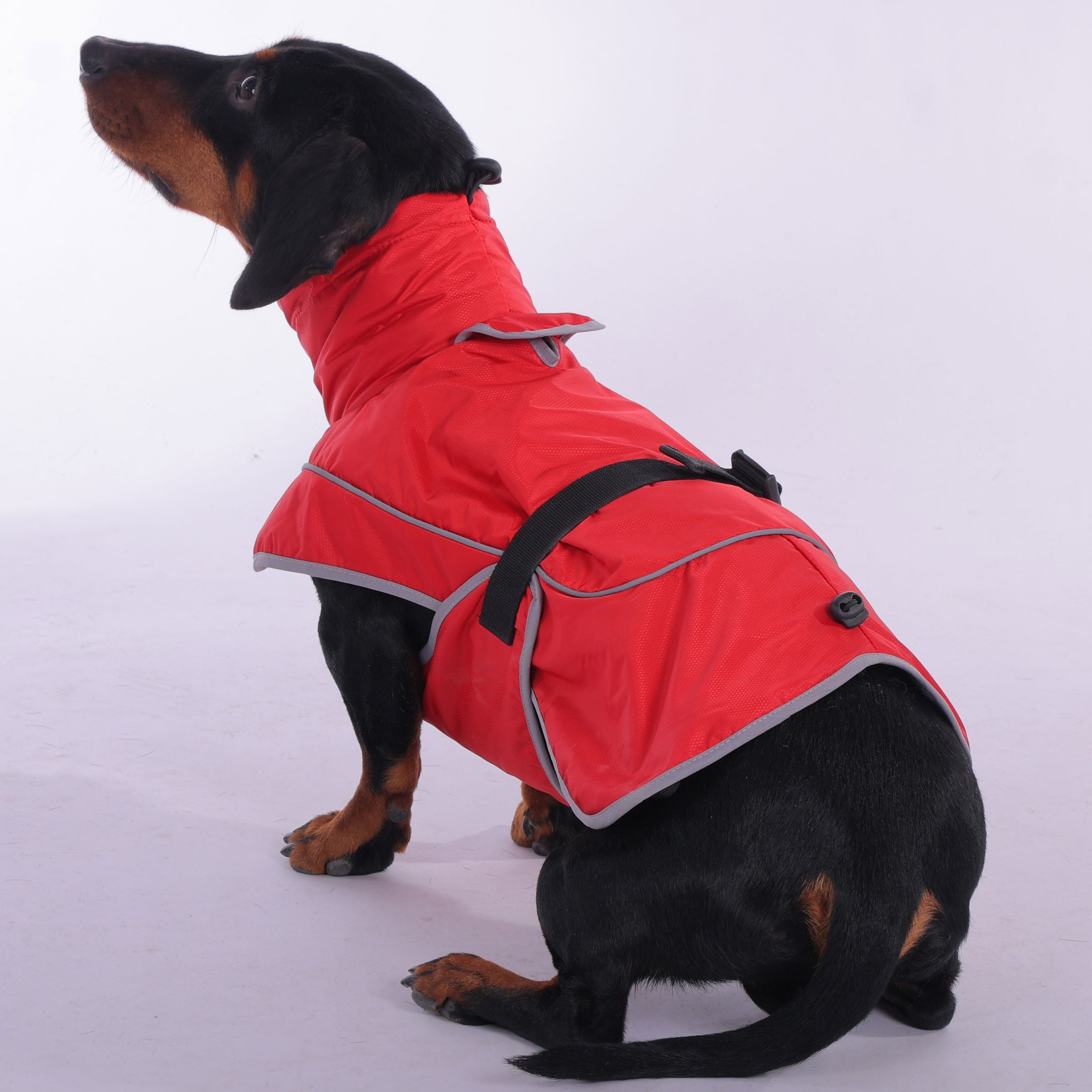 Dachshund Winter Jacket Waterproof High Collar Reflective XS–XL Raincoat Windproof Dog Coat Sausage Dog Wet Weather | Koossa