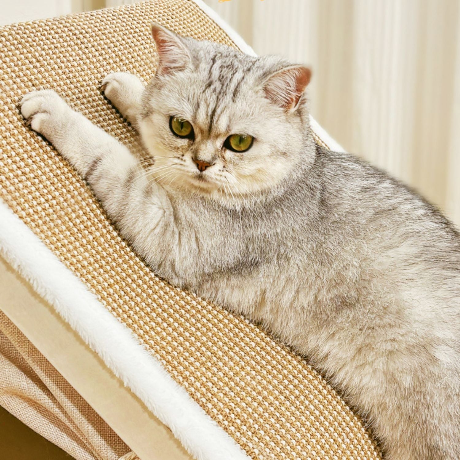Cat House with Scratching Roof Sisal Wooden Indoor Cat Bed Cave Hideaway Warm Cushion Small Medium Large Kitten Furniture Cosy Villa | Koossa