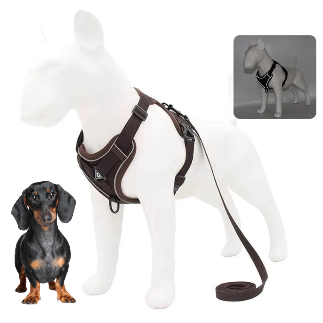 Dachshund Harness No-Pull Padded Mesh Nylon Leash Set Dual Hook Reflective XS–XL Small Dog Walking Vest Training | Koossa
