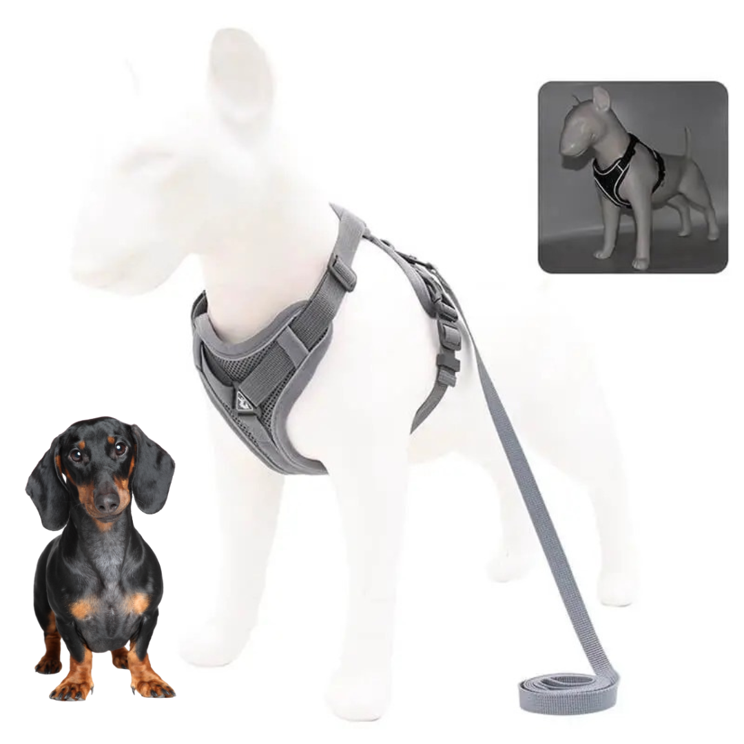 Dachshund Harness No-Pull Padded Mesh Nylon Leash Set Dual Hook Reflective XS–XL Small Dog Walking Vest Training | Koossa