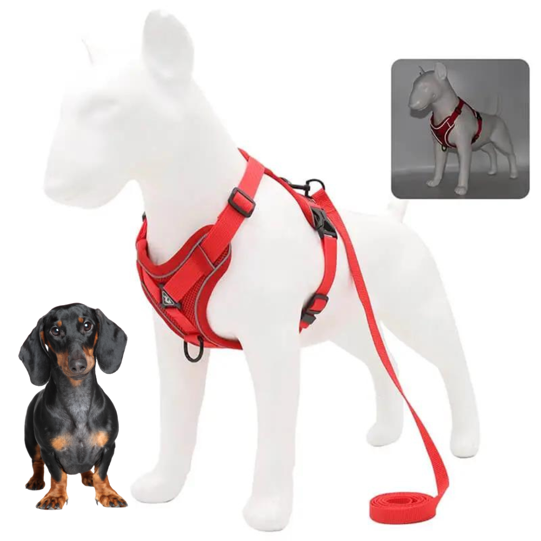 Dachshund Harness No-Pull Padded Mesh Nylon Leash Set Dual Hook Reflective XS–XL Small Dog Walking Vest Training | Koossa