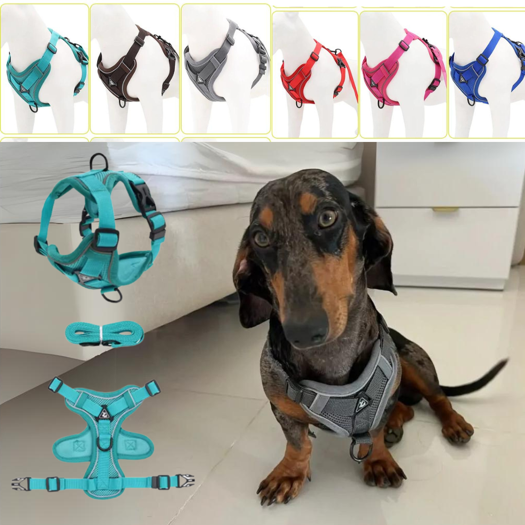 Dachshund Harness No-Pull Padded Mesh Nylon Leash Set Dual Hook Reflective XS–XL Small Dog Walking Vest Training | Koossa