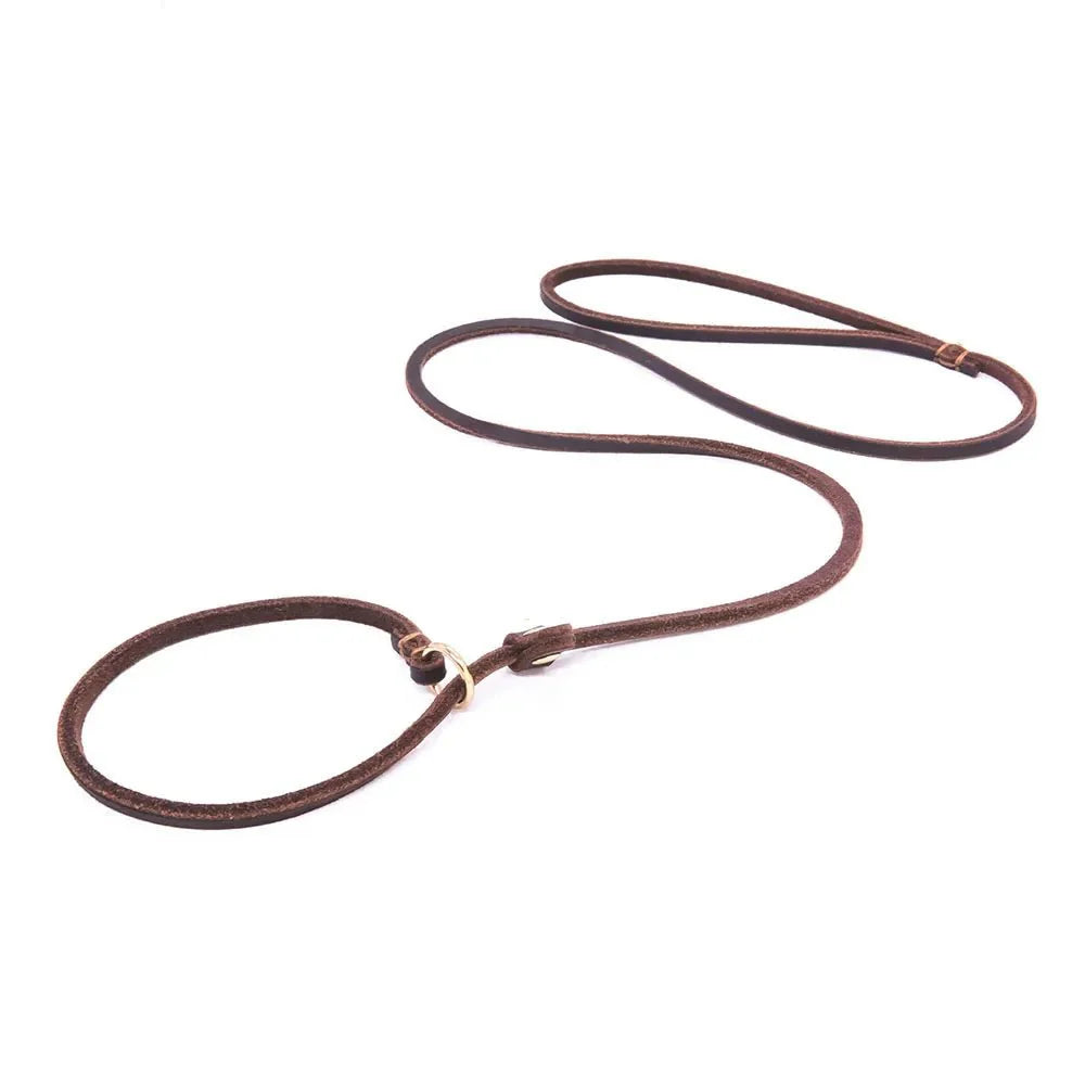 Dog Slip Lead Leather 2-in-1 Adjustable 120cm 150cm Soft Grip Training Leash Collar Black Brown Red Walking Lead | KoossaDog Slip Lead Leather 2-in-1 Adjustable 120cm 150cm Soft Grip Training Leash Collar Black Brown Red Walking Lead | Koossa