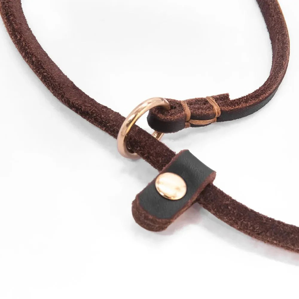 Dog Slip Lead Leather 2-in-1 Adjustable 120cm 150cm Soft Grip Training Leash Collar Black Brown Red Walking Lead | KoossaDog Slip Lead Leather 2-in-1 Adjustable 120cm 150cm Soft Grip Training Leash Collar Black Brown Red Walking Lead | Koossa