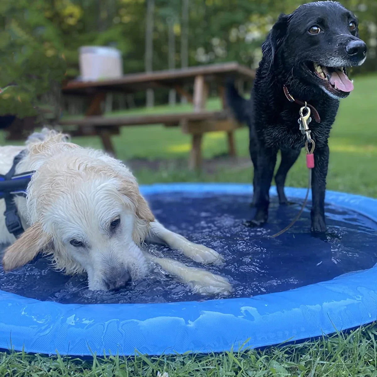 Dog Sprinkler Pad Inflatable PVC Non-Toxic 100cm 150cm 170cm Cooling Mat Garden Hose Summer Splash Play Pool | Koossa