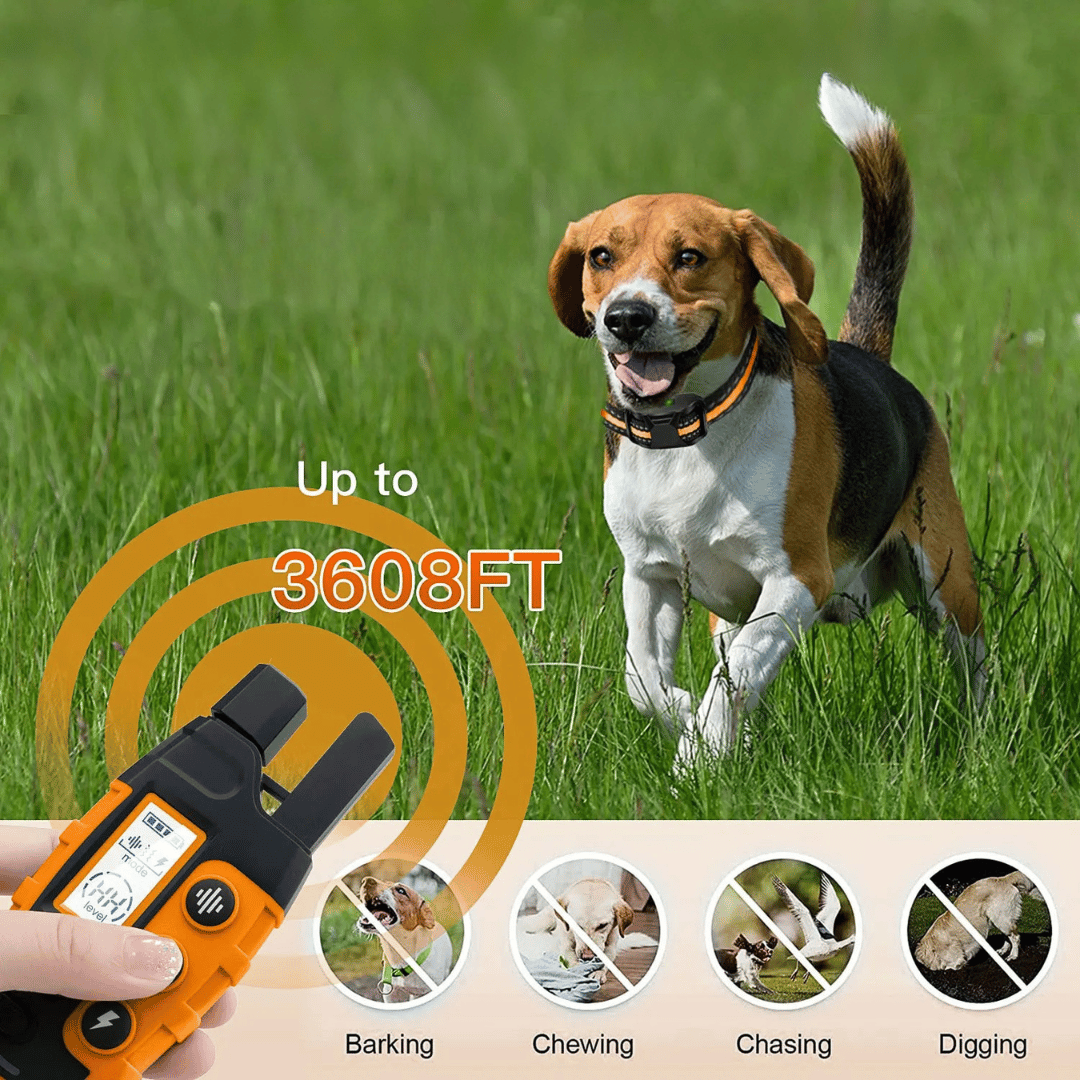 Dog Training Collar 1000m Remote Rechargeable Waterproof Sound Vibration Static Small Medium Large E-Collar Recall Off-Lead Control | Koossa