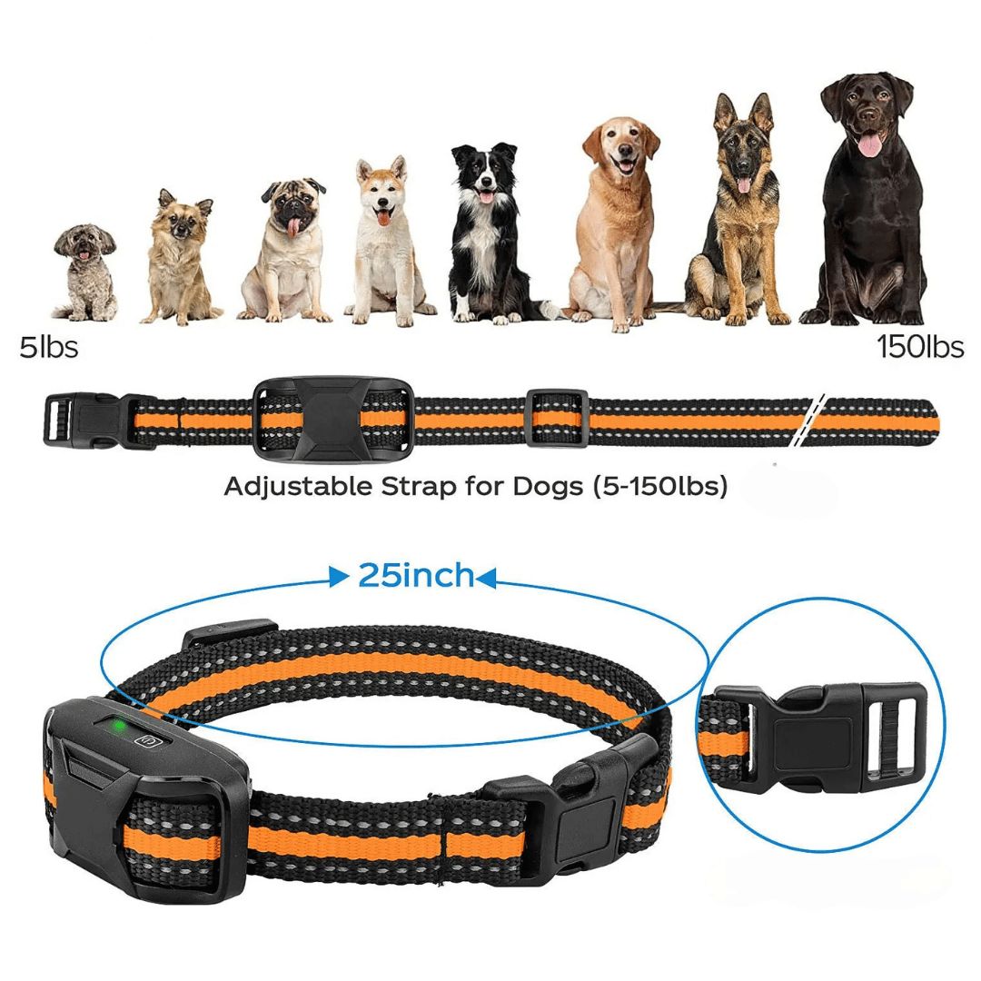 Dog Training Collar 1000m Remote Rechargeable Waterproof Sound Vibration Static Small Medium Large E-Collar Recall Off-Lead Control | Koossa