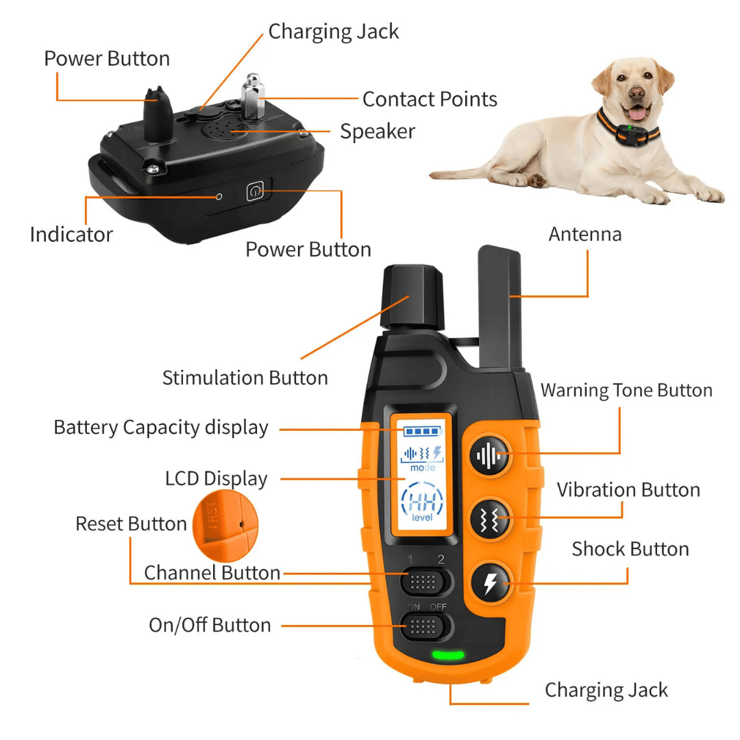 Dog Training Collar 1000m Remote Rechargeable Waterproof Sound Vibration Static Small Medium Large E-Collar Recall Off-Lead Control | Koossa