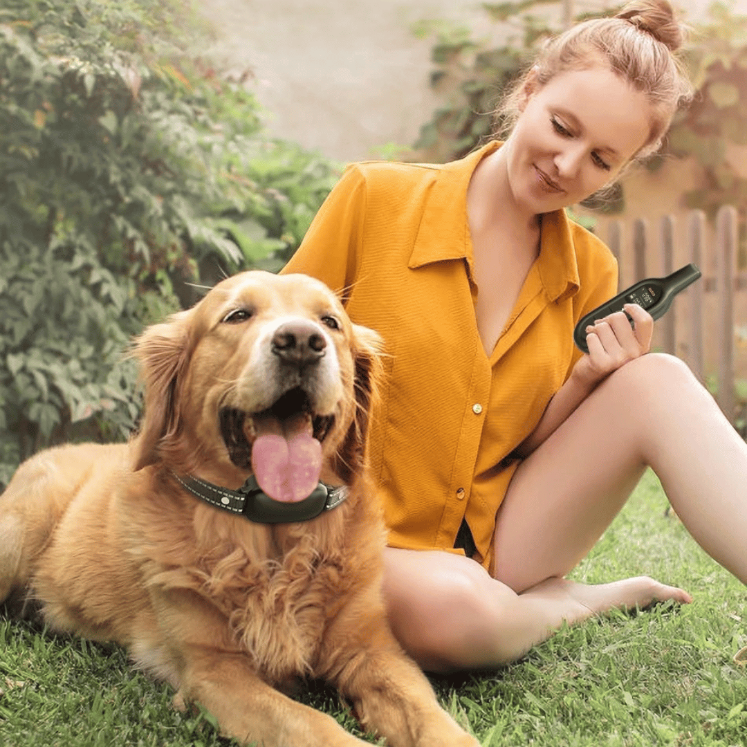 Dog Training Collar 1000m Long Range Remote Rechargeable Waterproof Sound Vibration Static Small Medium Large E-Collar Recall | Koossa