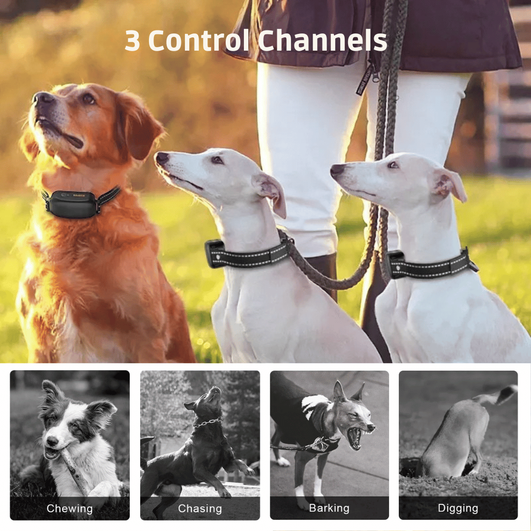 Dog Training Collar 1000m Long Range Remote Rechargeable Waterproof Sound Vibration Static Small Medium Large E-Collar Recall | Koossa