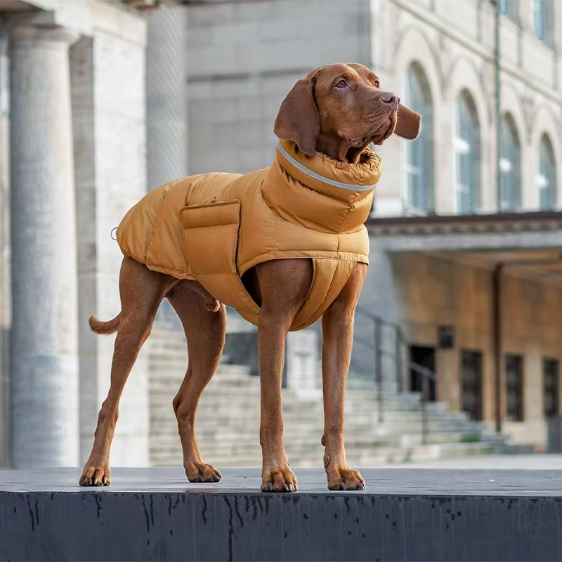Dog Padded Jacket Vest Polyester Windproof Waterproof S to XL Whippet Greyhound Winter Coat Zip Button | Koossa