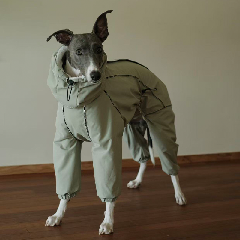 Dog Winter Onesie Fleece Lined Waterproof Whippet Greyhound Sizes 1–10 Leash Opening Windproof Suit | Koossa