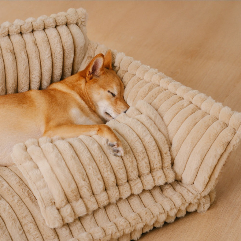Orthopaedic Dog Bed Memory Foam Joint Support Washable Cover Plush Cushion Medium Large XL XXL Arthritis Pain Relief Older Dogs | Koossa