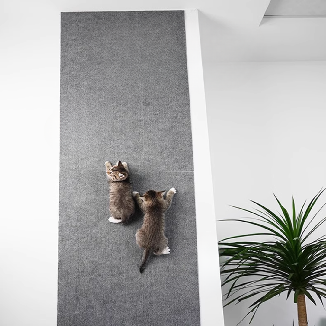 Cat Scratch Mat Self-Adhesive 40x100cm Gray Black Brown Beige Blue Wall Sofa Floor Scratcher Pad Furniture Protector | Koossa