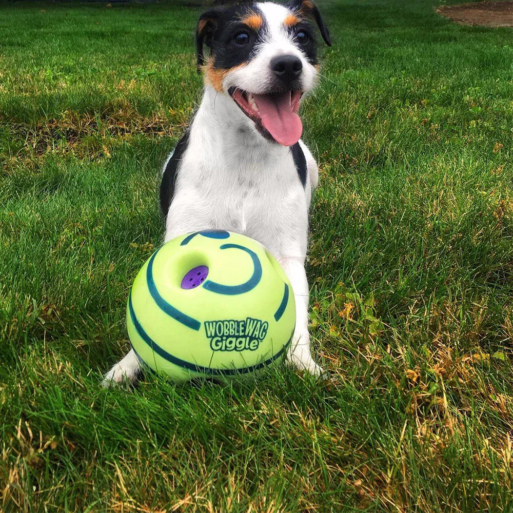 Interactive Dog Ball Toy Sound Activated Motion Durable Chew Resistant Bright Colours Mental Stimulation Indoor Outdoor Play Small Medium Large Dogs | Koossa