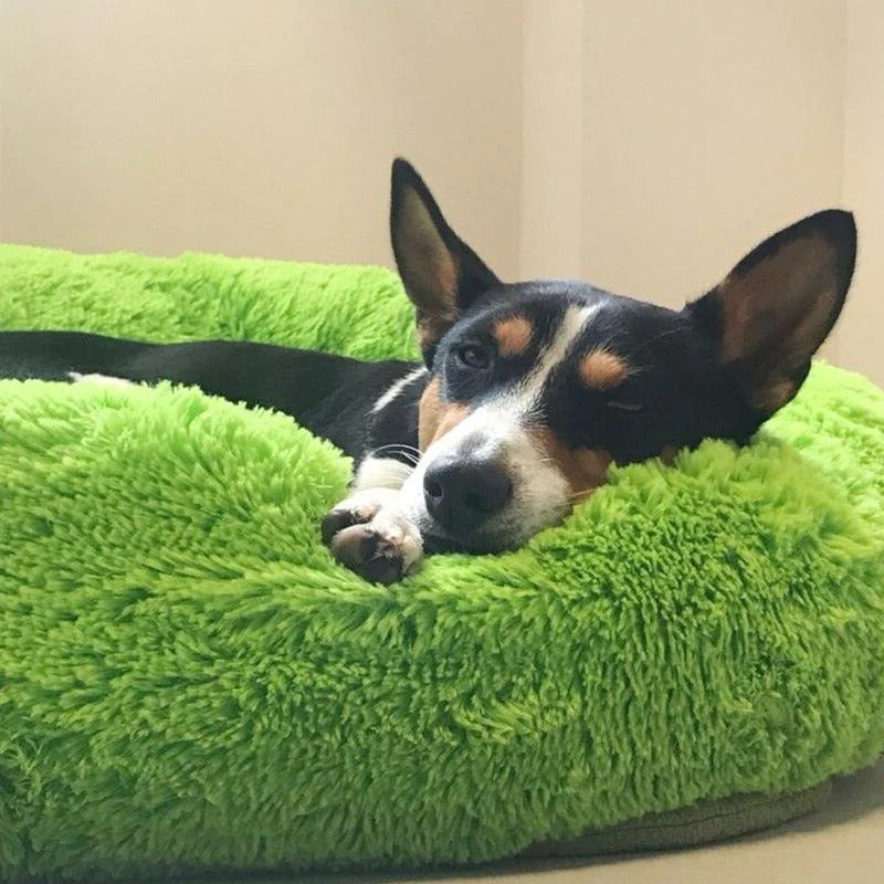 Dog Bed Calming Donut Plush Round Cushion Washable Anti-Slip XS S M L XL XXL Puppy Cat Pet Sleeping Mat | Koossa