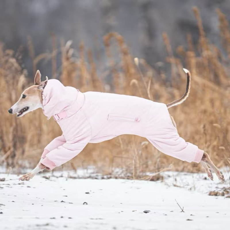 Dog Padded Coat Parka Fleece Lined Waterproof Whippet Greyhound S to 4XL Leash Ring High Neck Windproof | Koossa