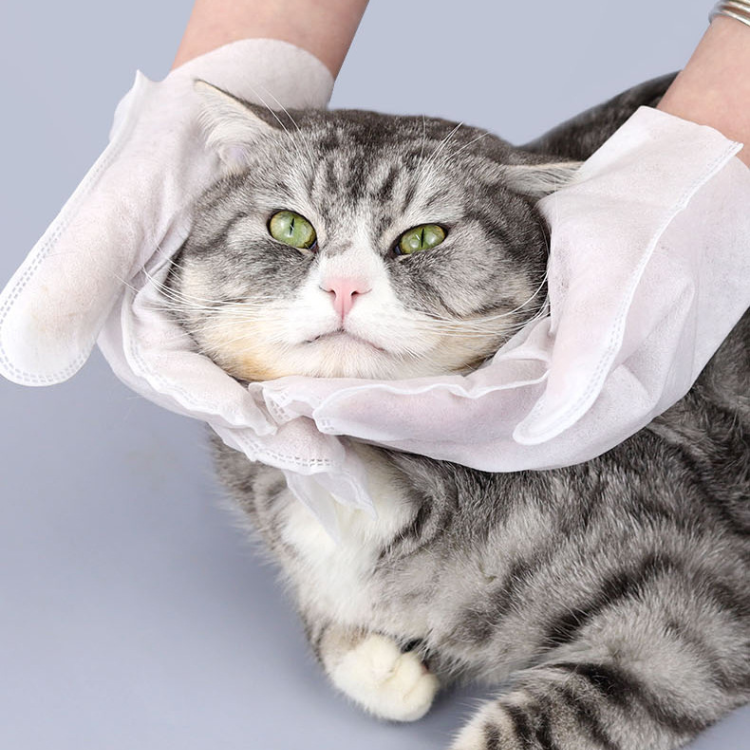 Pet Disposable Glove Wipes 6 18 36 Pieces Waterless Paw Fur Clean Cat Dog Grooming Mitt No Rinse Hygiene Wipe | Koossa