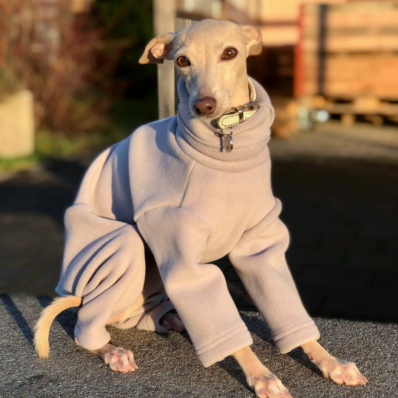 Dog Fleece Onesie Turtleneck Loose Fit Whippet Greyhound XS to XXL Four-Leg Jumpsuit Iggy Winter Clothes | Koossa
