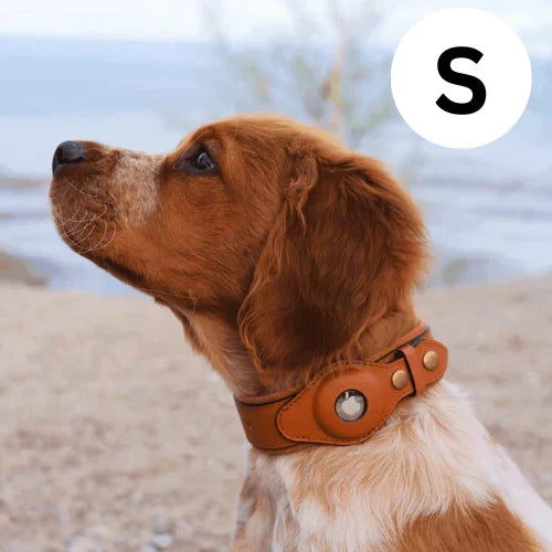 Dog GPS Collar Tracker No Subscription Real-Time Location Finder for Dogs Small Medium Large Outdoor Hiking Walking Training Pet Safety | Lonoma