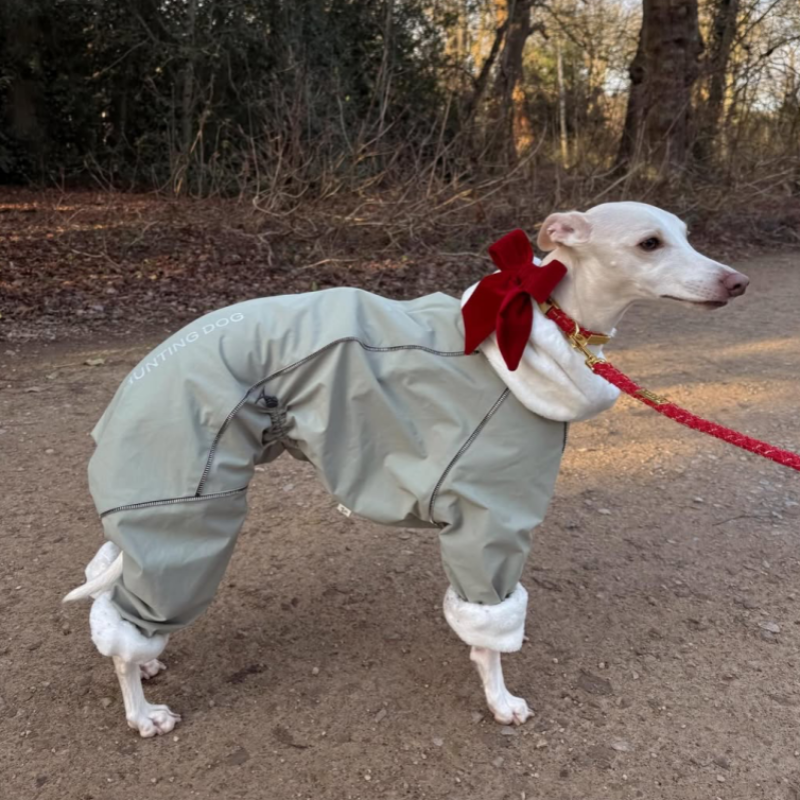 Dog Winter Onesie Fleece Lined Waterproof Whippet Greyhound Sizes 1–10 Leash Opening Windproof Suit | Koossa