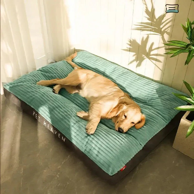 Dog Bed Memory Foam Washable Cover Waterproof Raised Edges Medium Large XL Non-Slip Orthopaedic Pet Cushion Mat Indoor | Koossa