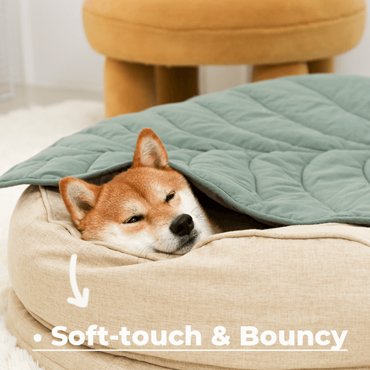 Dog Bed Donut Oval Orthopaedic Foam M L XL 2XL Waterproof Washable Anti-Slip Calming Cuddler Pet Sofa Bed | Koossa