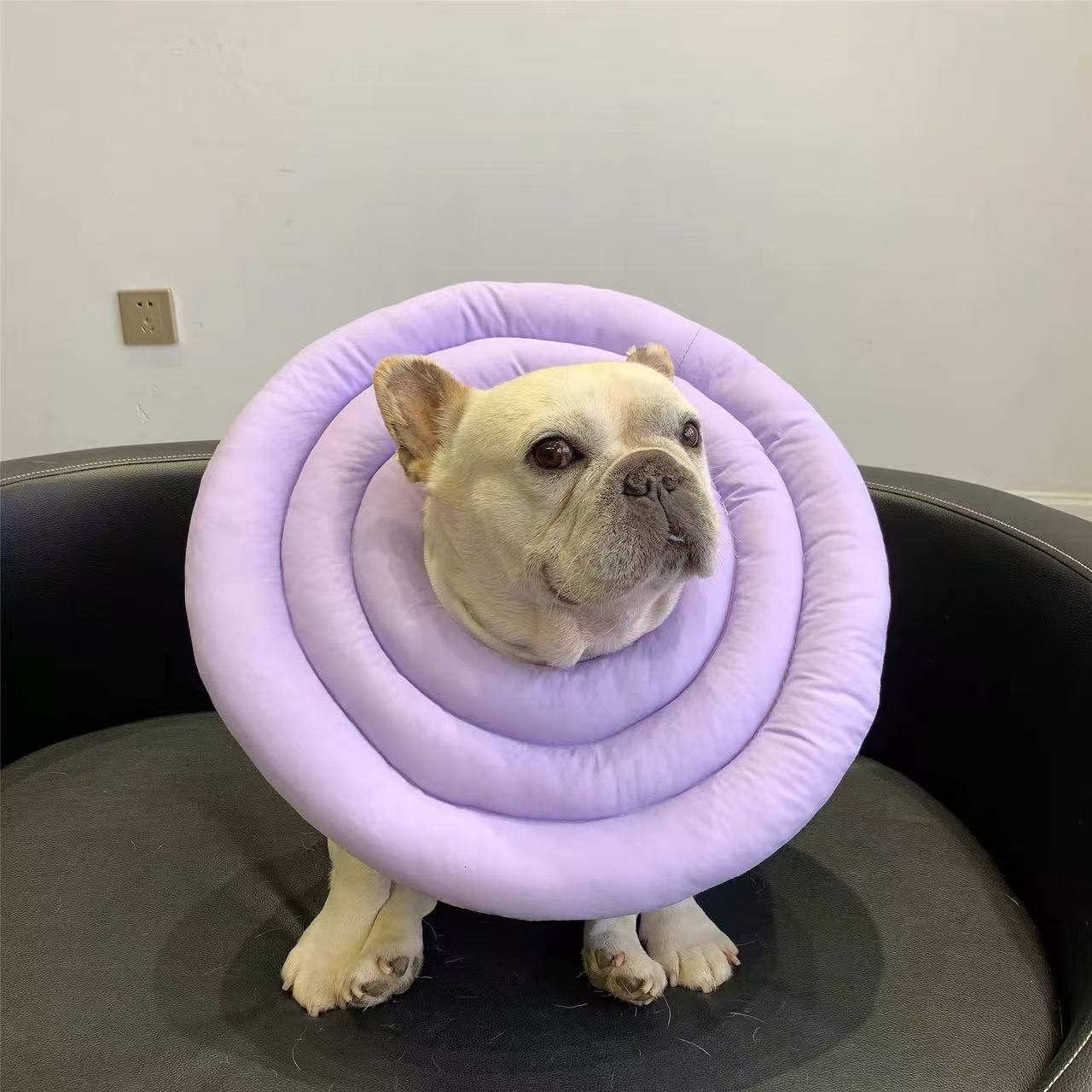 Recovery Cone Adjustable Soft Cotton Dog Cat E-Collar Post-Surgery Wound Protection Buster Collar Elizabethan Collar Pet | Koossa