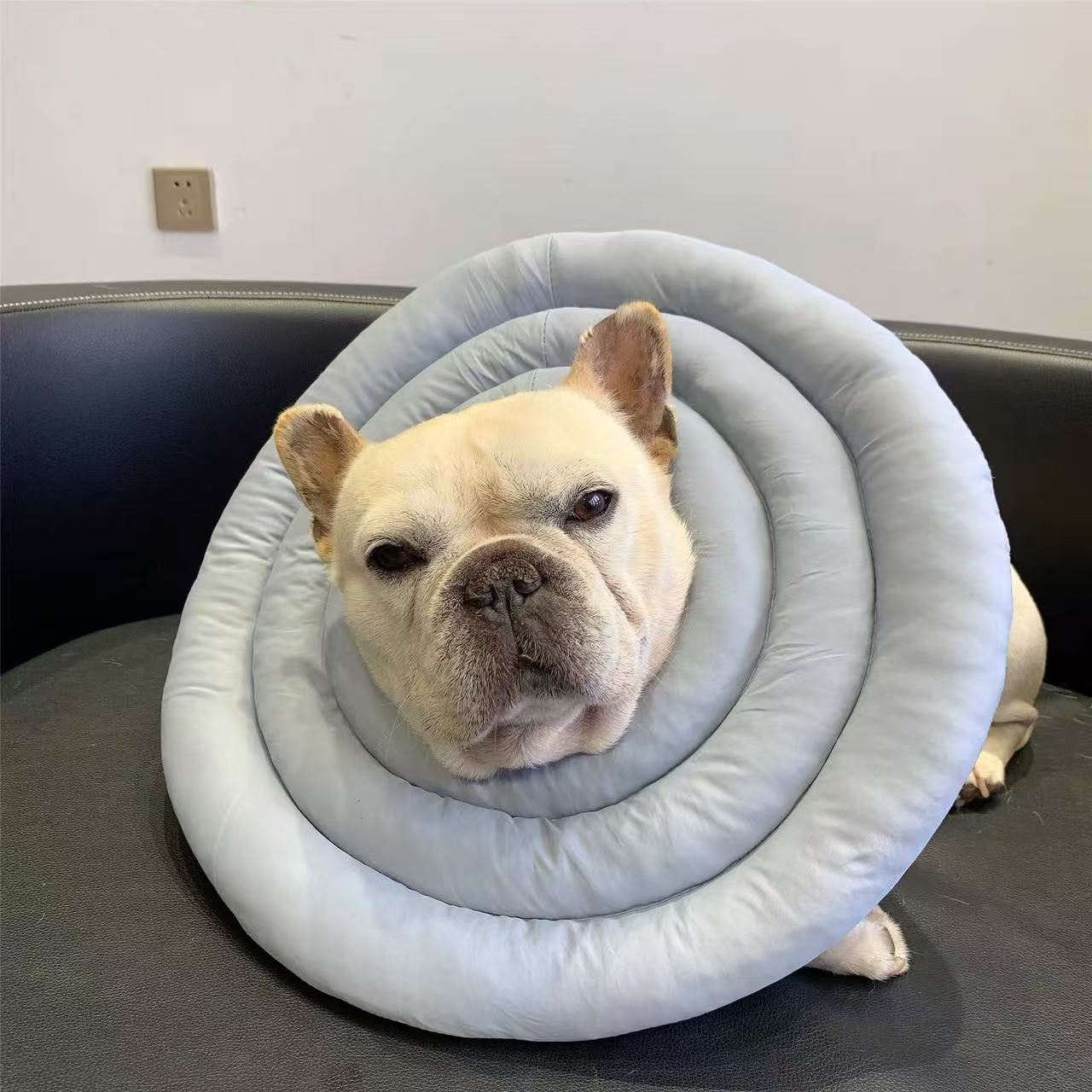 Recovery Cone Adjustable Soft Cotton Dog Cat E-Collar Post-Surgery Wound Protection Buster Collar Elizabethan Collar Pet | Koossa