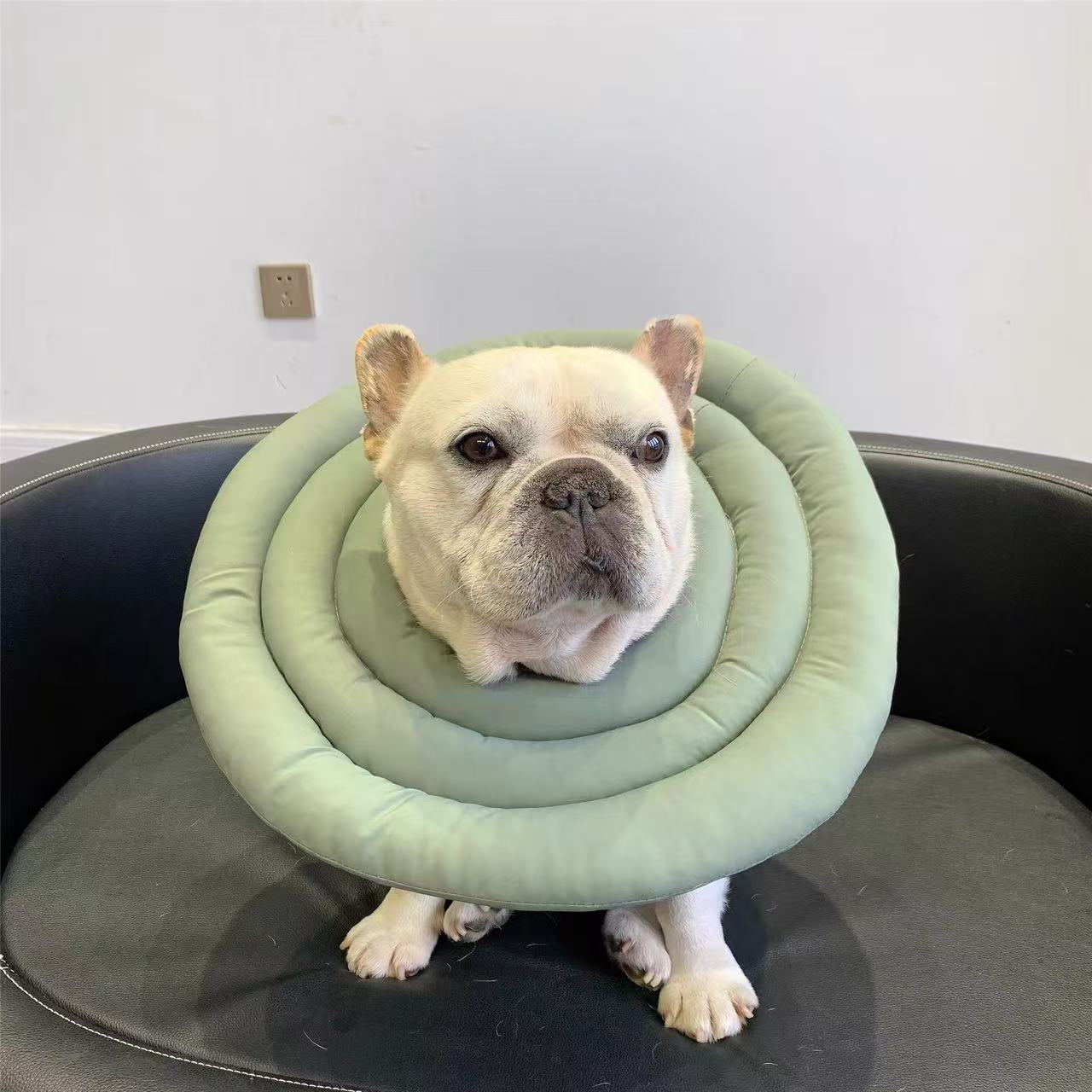Recovery Cone Adjustable Soft Cotton Dog Cat E-Collar Post-Surgery Wound Protection Buster Collar Elizabethan Collar Pet | Koossa