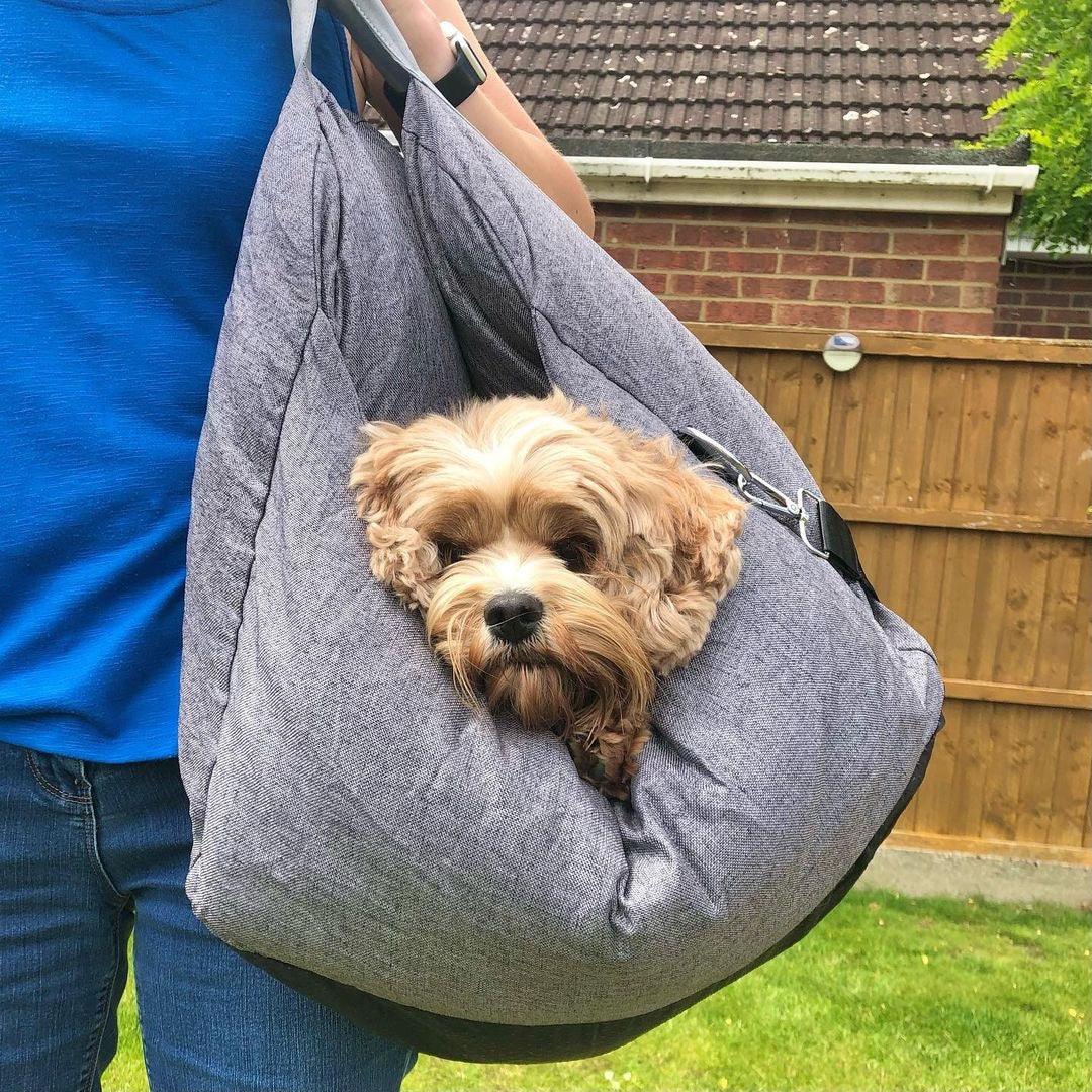 Dog Car Seat Bed Calming Raised Edges Non-Slip Safety Belt Small Medium Puppy Travel Booster Cushion Anti-Anxiety Carrier | Koossa