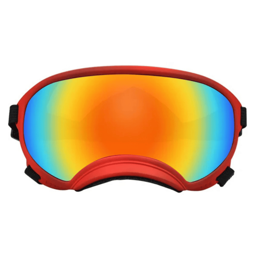 Dog Goggles UV Protection Adjustable Windproof Scratch-Resistant Small Medium Large Dog Sunglasses Outdoor Eye Protection Hiking | Koossa