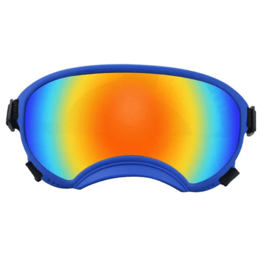 Dog Goggles UV Protection Adjustable Windproof Scratch-Resistant Small Medium Large Dog Sunglasses Outdoor Eye Protection Hiking | Koossa